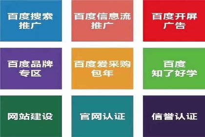 抖音信息流广告代理的五大成功投放案例